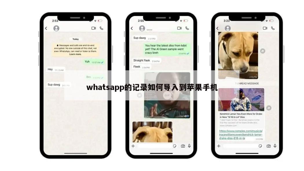 whatsapp的记录如何导入到苹果手机